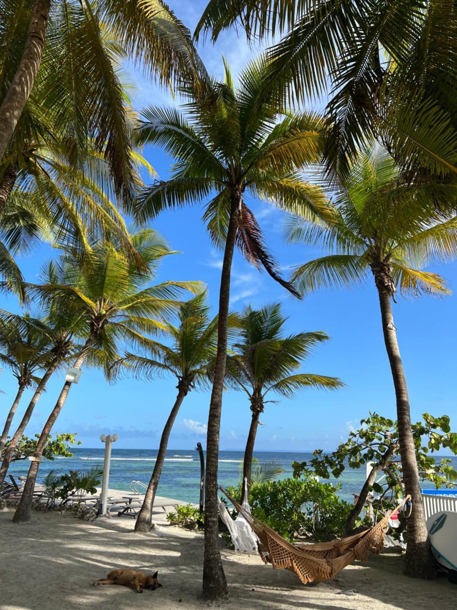 Guadeloupe- Saint-Francois- Residence Anse Des Rochers - Appartement Quart De Villa Etage - Vue Mer- 4 Personnes - Lit Bebe Sur Demande - Citerne Et Wifi Prives -Animaux Ok-Acces Plage Direct -Apnee Bien-Etre Experience Sur Demande Avec Instructeur A Exterior photo